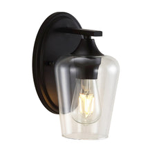 Jayne Iron/Glass Cottage Rustic Led Vanity Light