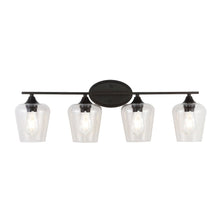 Jayne Iron/Glass Cottage Rustic Led Vanity Light