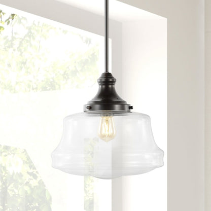 Schoolhouse Bohemian Farmhouse Iron/Glass Led Pendant