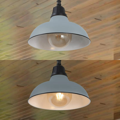 12.25" 1-Light Industrial Indoor/Outdoor Iron LED Pendant, Matte Silver Blue