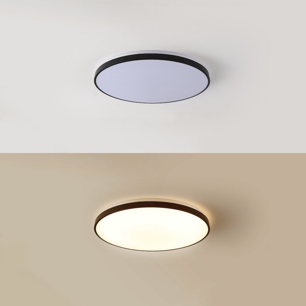 Astrid 1-Light Modern Minimalist Iron Circle Integrated Led Flush Mount