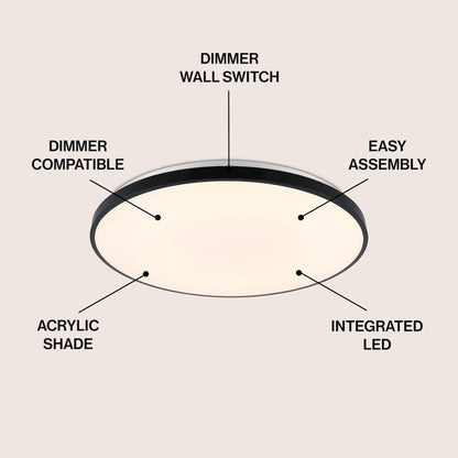 Astrid 1-Light Modern Minimalist Iron Circle Integrated Led Flush Mount