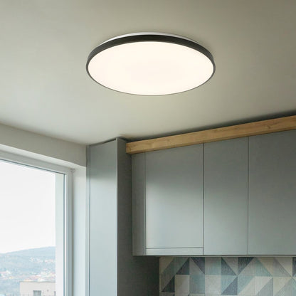 Astrid 1-Light Modern Minimalist Iron Circle Integrated Led Flush Mount