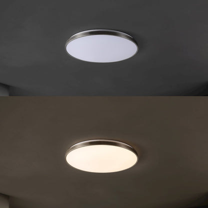 Astrid 1-Light Modern Minimalist Iron Circle Integrated Led Flush Mount