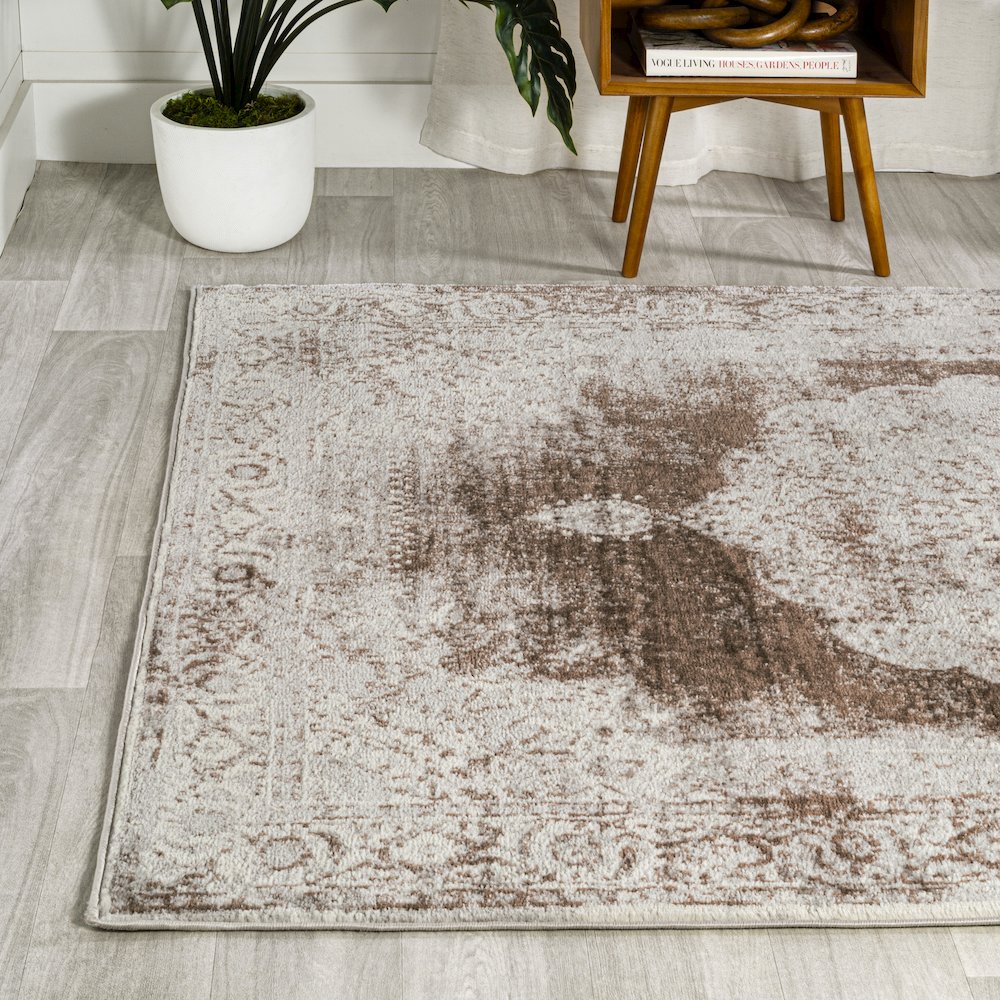 Rosalia Cottage Medallion Area Rug