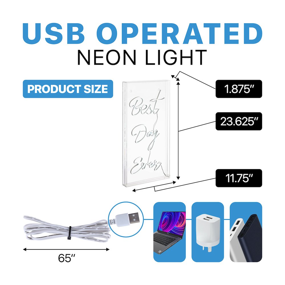 Best Day Ever Contemporary Glam Acrylic Box Usb Operated Led Neon Light