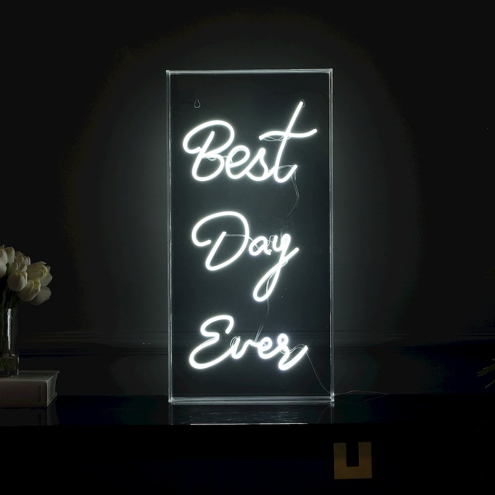 Best Day Ever Contemporary Glam Acrylic Box Usb Operated Led Neon Light
