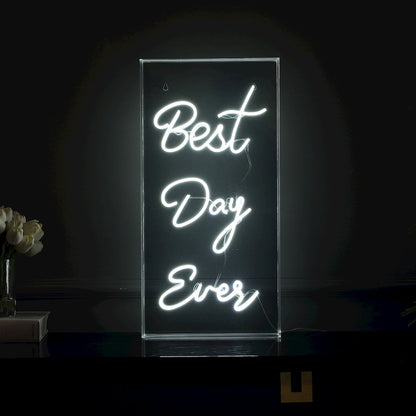 Best Day Ever Contemporary Glam Acrylic Box Usb Operated Led Neon Light