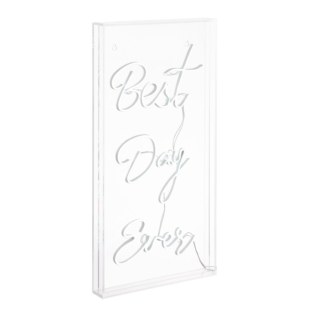 Best Day Ever Contemporary Glam Acrylic Box Usb Operated Led Neon Light