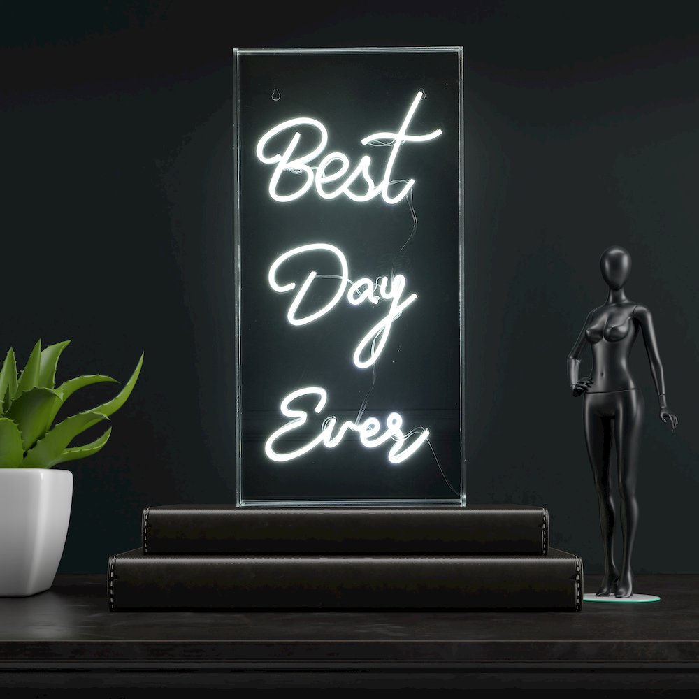 Best Day Ever Contemporary Glam Acrylic Box Usb Operated Led Neon Light