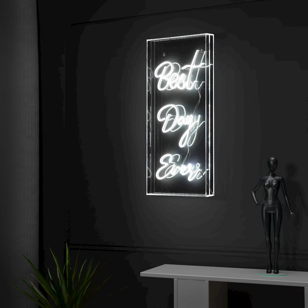 Best Day Ever Contemporary Glam Acrylic Box Usb Operated Led Neon Light