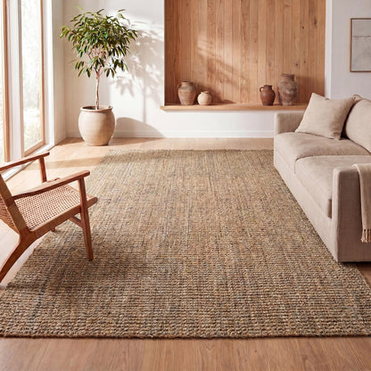 Biot Traditional Rustic Handwoven Jute Area Rug