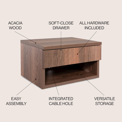 Ettore 15.7" Modern Matte Dark Brown Floating Nightstand