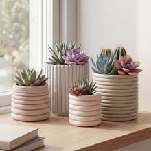 Silas Modern Concrete Fluted Cylinder Planter Set, Matte Soft Neutral (Set of 4)