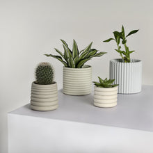 Silas Modern Concrete Fluted Cylinder Planter Set, Matte Soft Neutral (Set of 4)