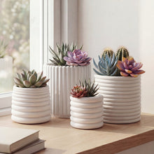 Silas Modern Concrete Fluted Cylinder Planter Set, Matte White (Set of 4)