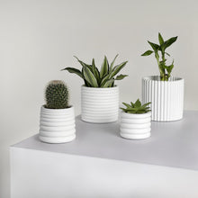 Silas Modern Concrete Fluted Cylinder Planter Set, Matte White (Set of 4)