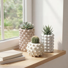Maren Concrete Cylinder & Round Planter Set, Matte Soft Neutral (Set of 3)