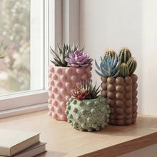 Maren Concrete Bubble Cylinder & Round Planter Set, Matte Muted Earth (Set of 3)