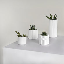 Noa Modern Concrete Fluted Cylinder Planter Set, Matte White (Set of 4)