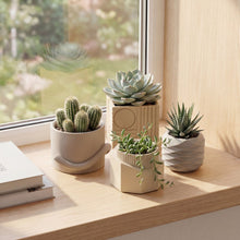 Romy Modern Minimalist Concrete Planter Set, Matte Earthy Neutral (Set of 4)
