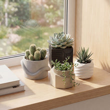 Romy Modern Minimalist Concrete Planter Set, Matte Mixed Neutral (Set of 4)