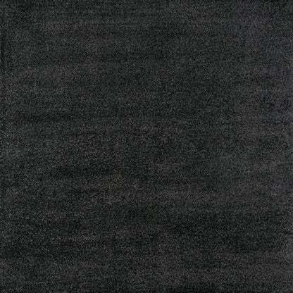 Haze Solid Low Pile Area Rug Black