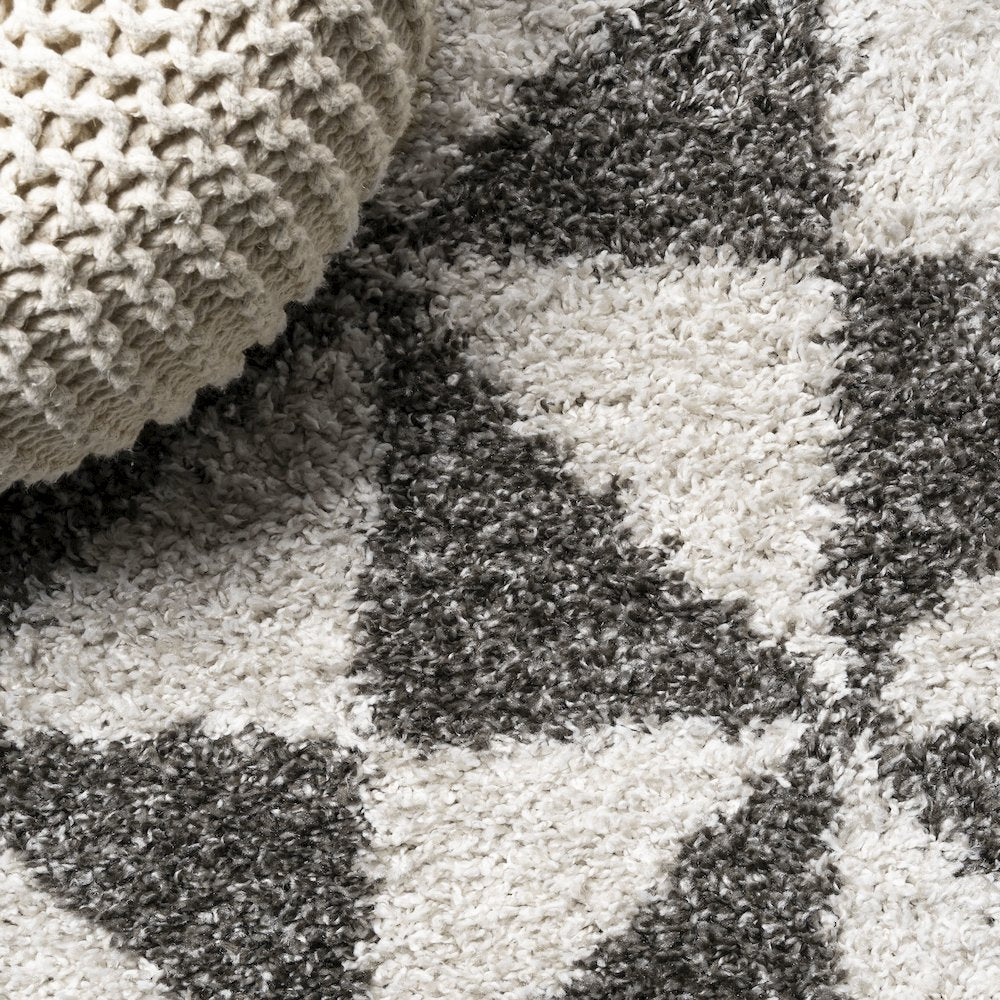 Alcudia Geometric Shag Area Rug