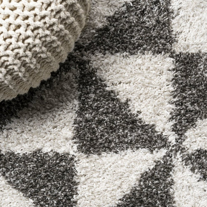 Alcudia Geometric Shag Area Rug