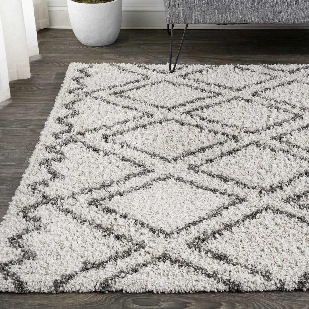 Soller Diamond Trellis Shag Area Rug