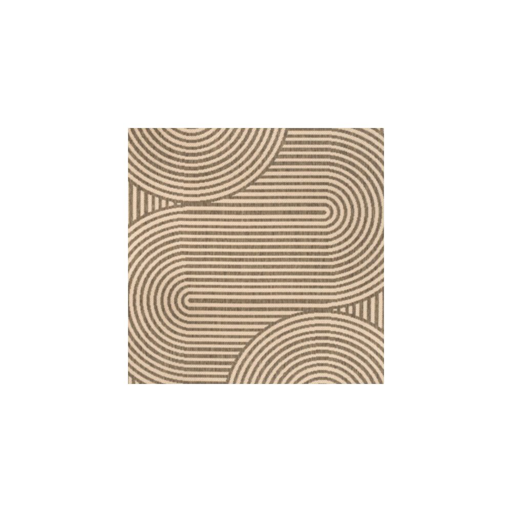 Beige/Brown 2 ft. x 8 ft. Indoor/Outdoor Shaped Runner Rug