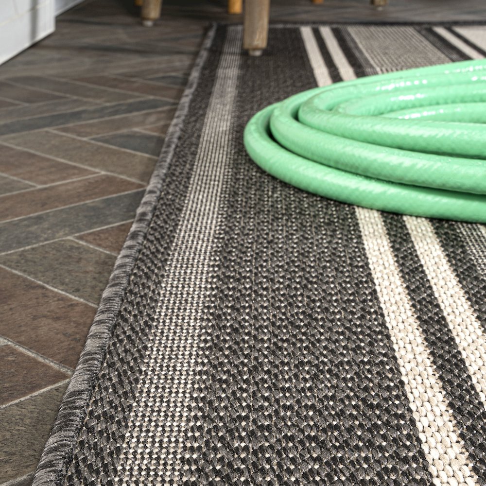 Haynes Modern Double Stripe Indoor/Outdoor Area Rug