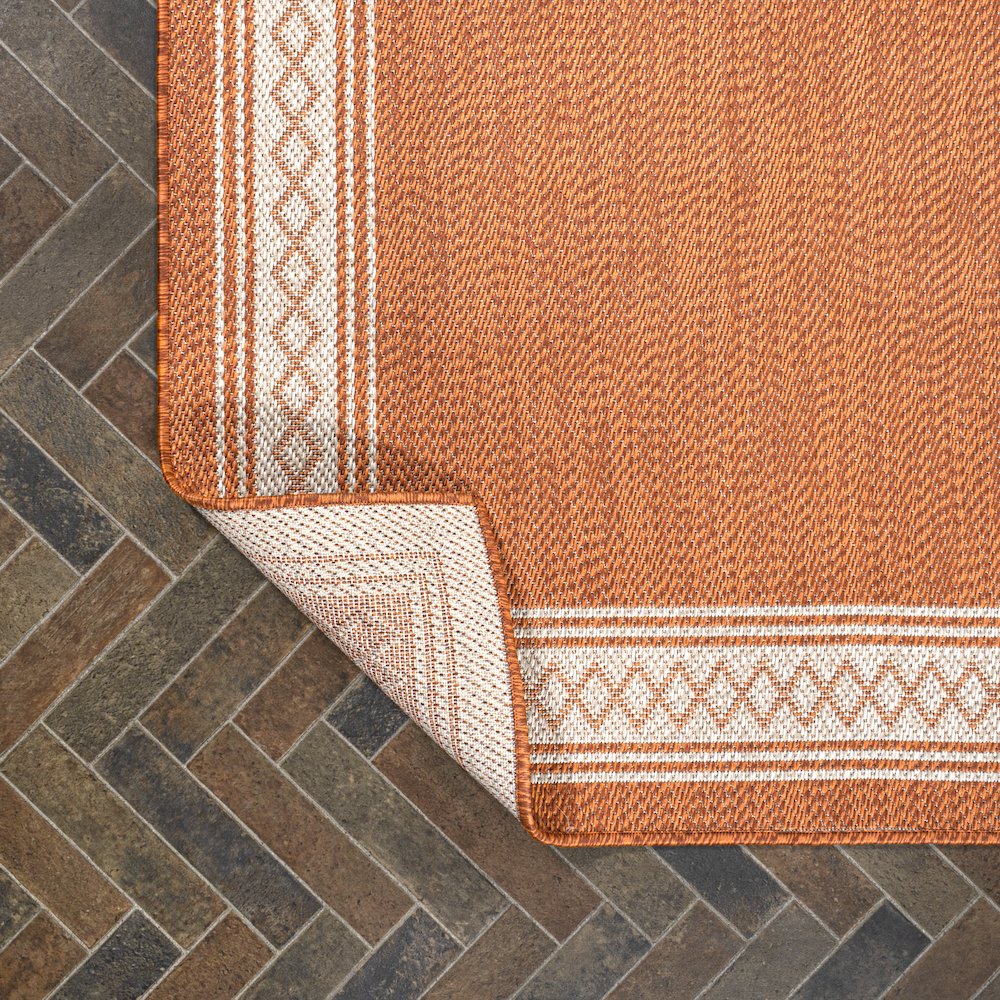 Lucia Classic Diamond Border Indoor/Outdoor Area Rug