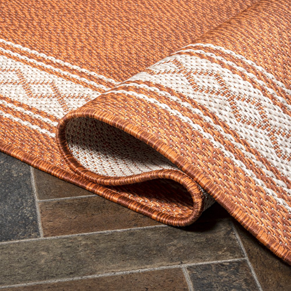 Lucia Classic Diamond Border Indoor/Outdoor Area Rug