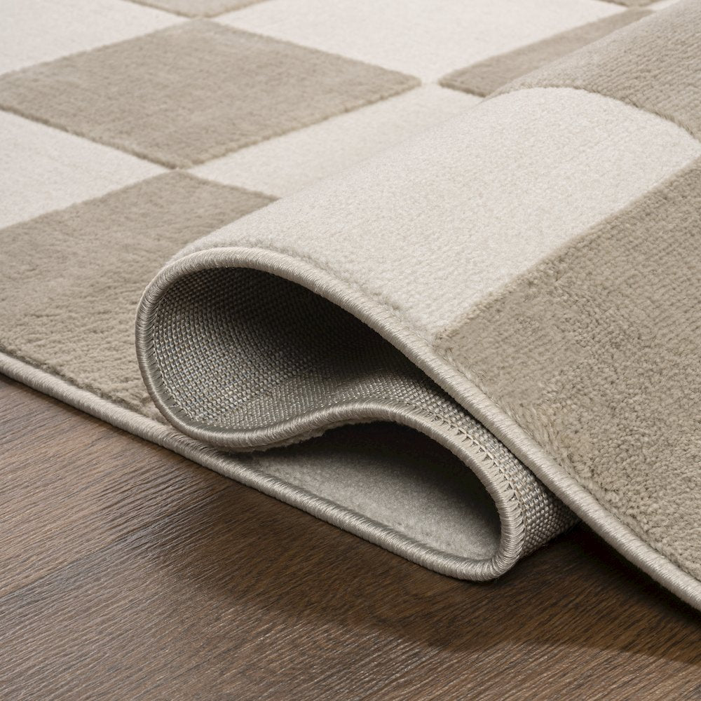 Thea Modern Geometric Checkerboard High-Low Area Rug