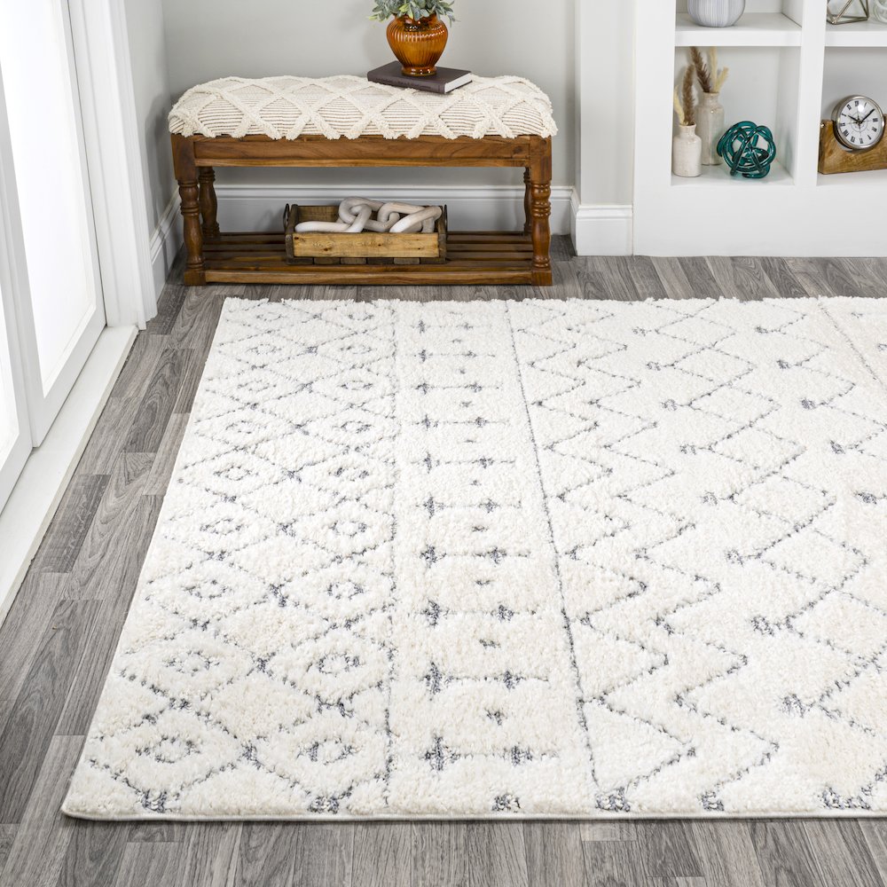 Pia Moroccan Trellis Plush Carved Area Rug