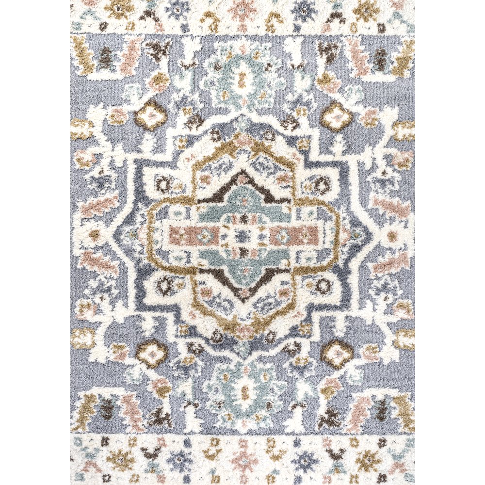 Aziza Persian Medallion High-Low Area Rug