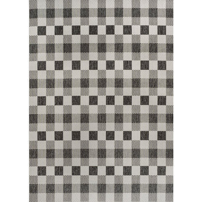 Darcy Traditional Geometric Bold Gingham Indoor/Outdoor Area Rug