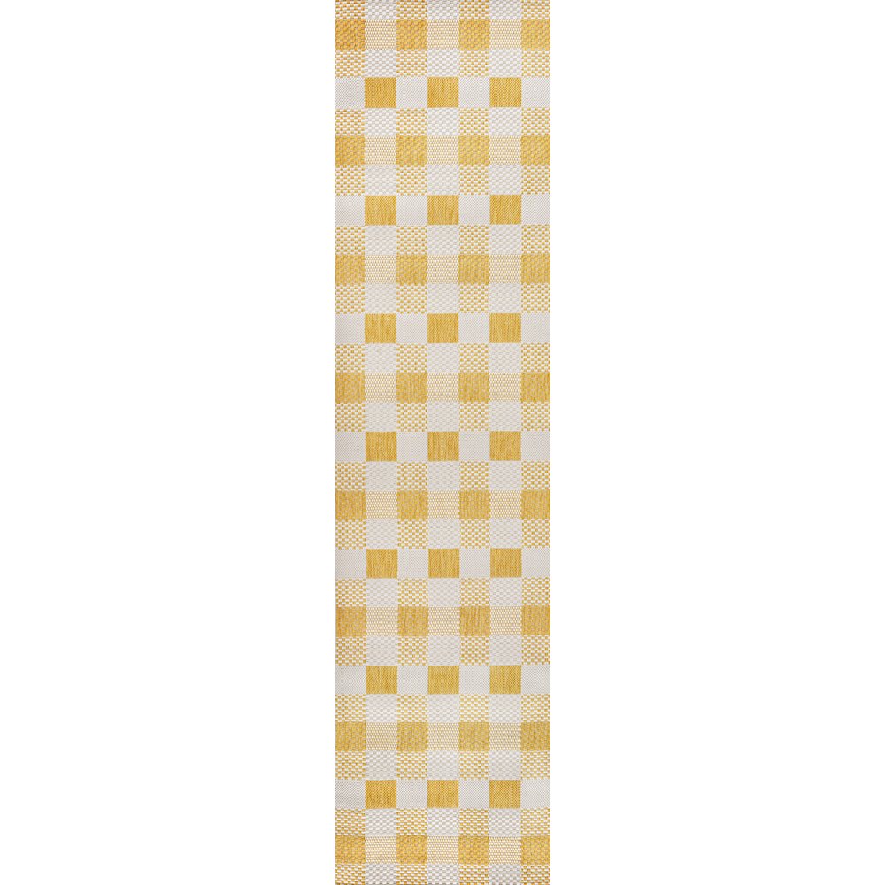 Darcy Traditional Geometric Bold Gingham Indoor/Outdoor Area Rug