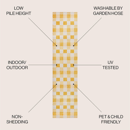 Darcy Traditional Geometric Bold Gingham Indoor/Outdoor Area Rug