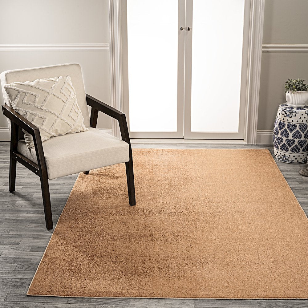 Twyla Classic Solid Low-Pile Machine-Washable Area Rug
