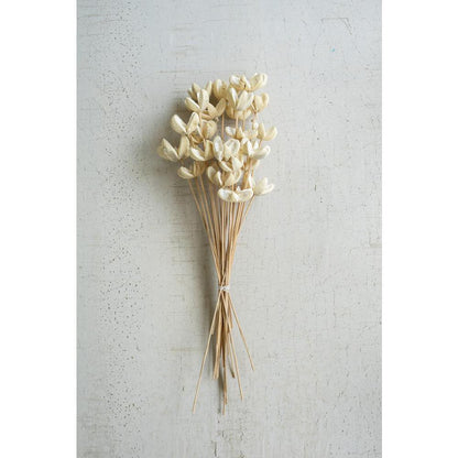 Bundle Of 24 Bleached Bullet Flowers On Stems