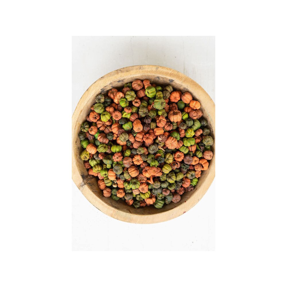 Bag Of Orange And Green Putka Pods - 12 Oz.