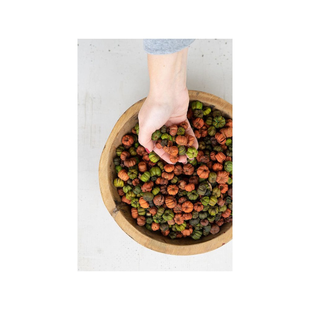 Bag Of Orange And Green Putka Pods - 12 Oz.