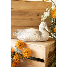 Faux Concrete Pin Tail Duck
