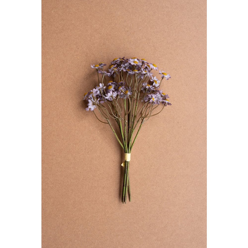 Chamomile Bundle (6 Stems) - Lavender