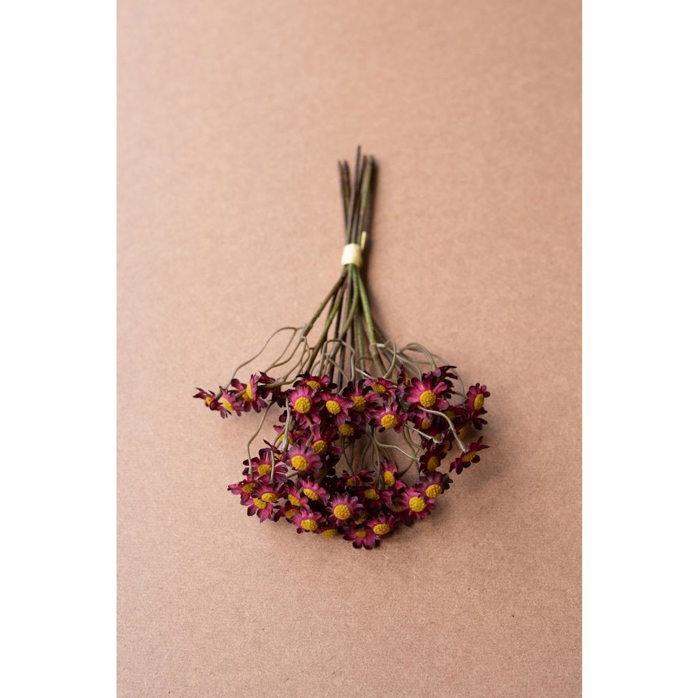 Chamomile Bundle (6 Stems) - Burgandy