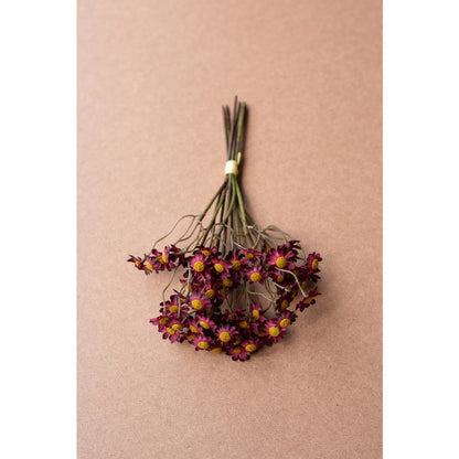 Chamomile Bundle (6 Stems) - Burgandy