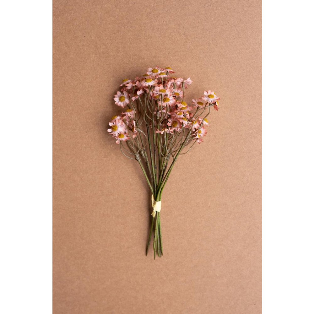 Chamomile Bundle (6 Stems) - Blush