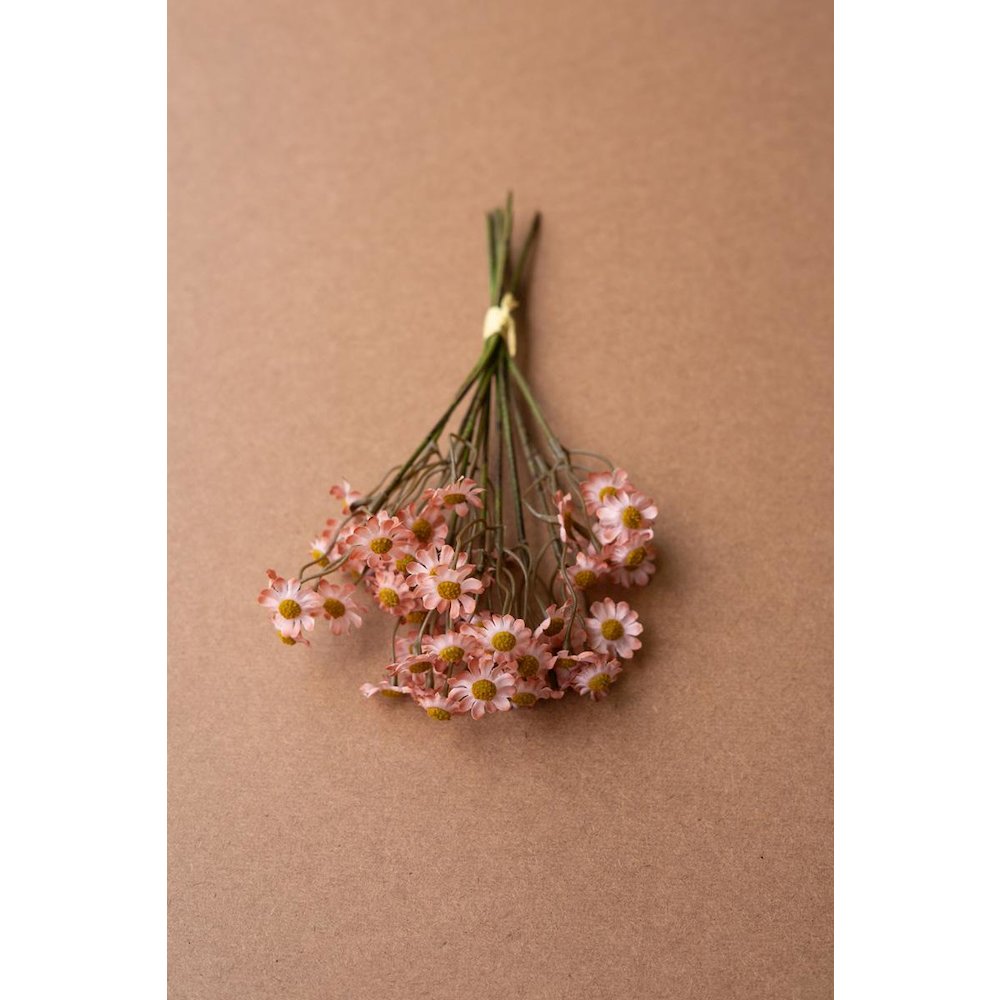 Chamomile Bundle (6 Stems) - Blush